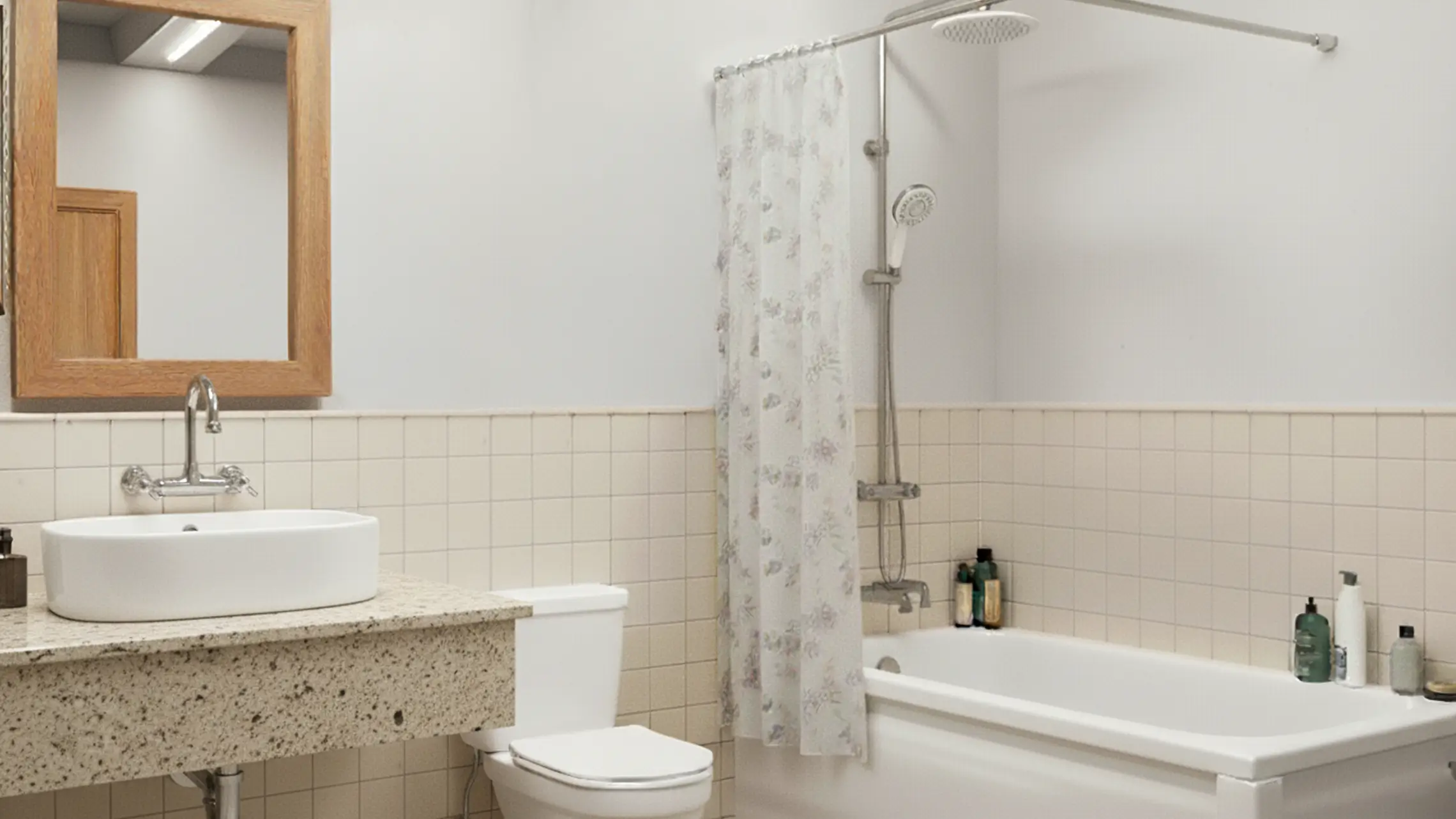 Bathroom before